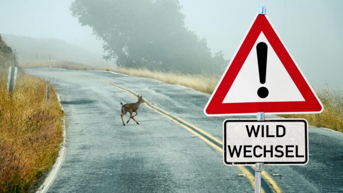 Spitzenzeiten fürs Hessenschau.de


