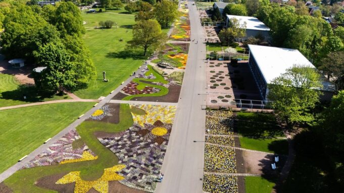 Erfurter Eganimmtfürblumenschaugeschickt Die Kurve

