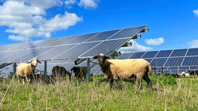 Streit um Solarpark und Komprozessche

