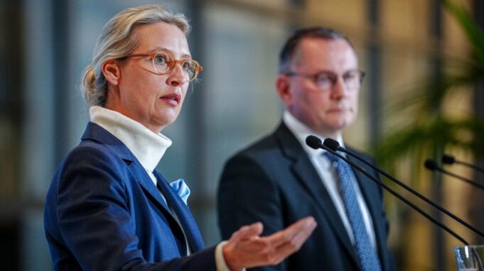 AfD „Geschichtert redsextrem”: Die BFV-Enscheidung IstÜberfälligs

