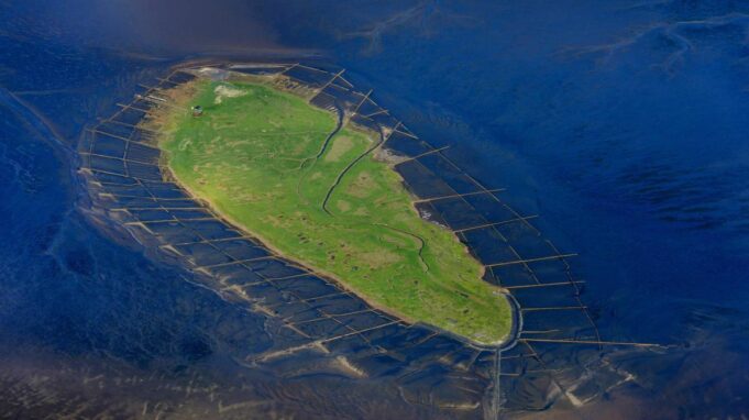Also tragisch Starb der Erste Vogelwart von Hallig Nororderoog

