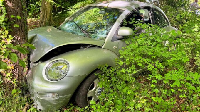 Autodurchbricht Zaun und Prallt Gegen Einen Baum

