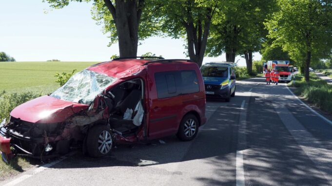 Autofährrtgegenbaum, Fahrer Befreit

