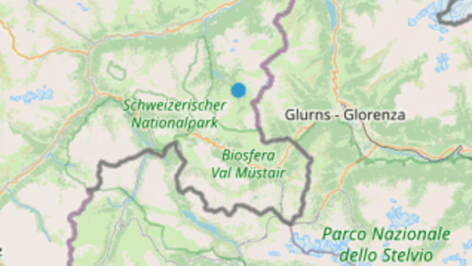 Bärspärim Vorgadin Einen Neuen LeBensraum und Ein Weibchen

