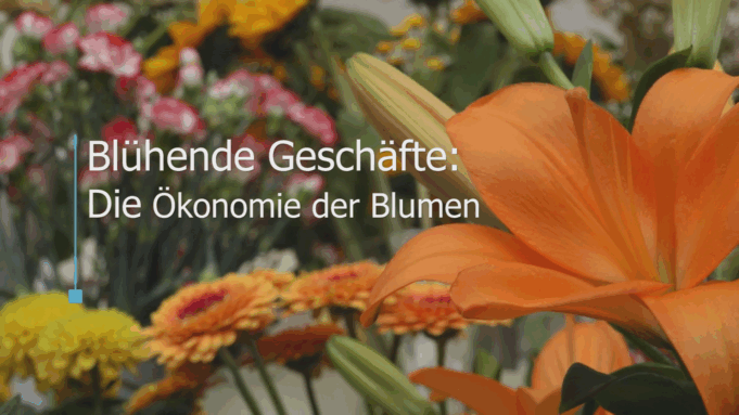 Blumenhandel: Ein Heikles Gleichgewicht

