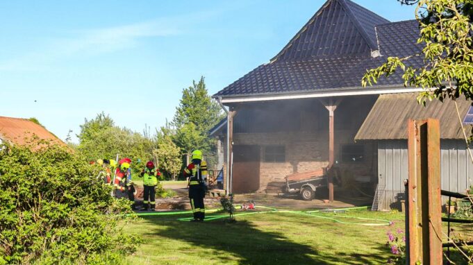 Ellingstedts Feuer: Rasenmauerer

