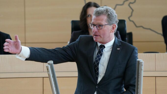 FDP Kritiation Zahl der Eingestellten VerfahreRen

