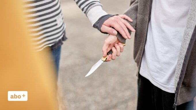 Hättedie Tat von Berikon Verhindert Werden Können? Fachlute Ordnen Ein

