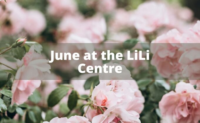 June im Lily Center

