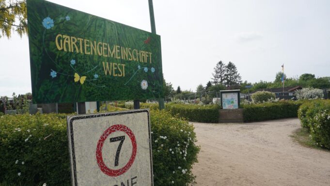 Kleingärten von Neumünster: Verein Warnt online-käfen

