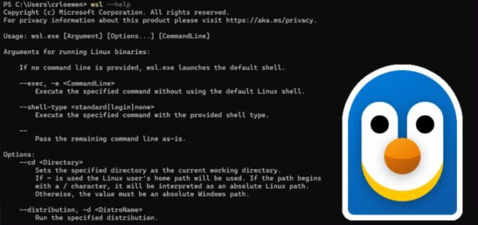Linux ist neuer Open -Source -Windows -Subsystem

