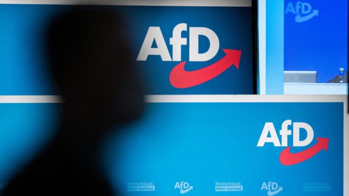 Mehr Als 220 Afd-Kandidaten im StaatsDiens

