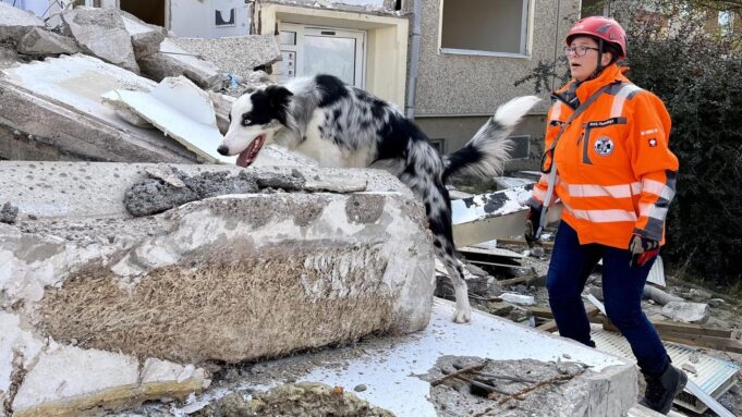 Nichtalltäglichehunde, Eine Fiktive Geschichte und Ein -Witerermeersteinfür -Tod Rettung von Menschen

