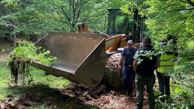 Radlader Nach Zersstörerischer Alkoholfahrt aus Teich GEBORGEN: STAATSANWALTSCHAFT ERMITTELT | Hessenschau.de

