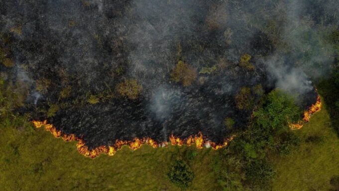 Sous l'effet des Incends, La Destruction Desforêtropicales theInt un niveau Record

