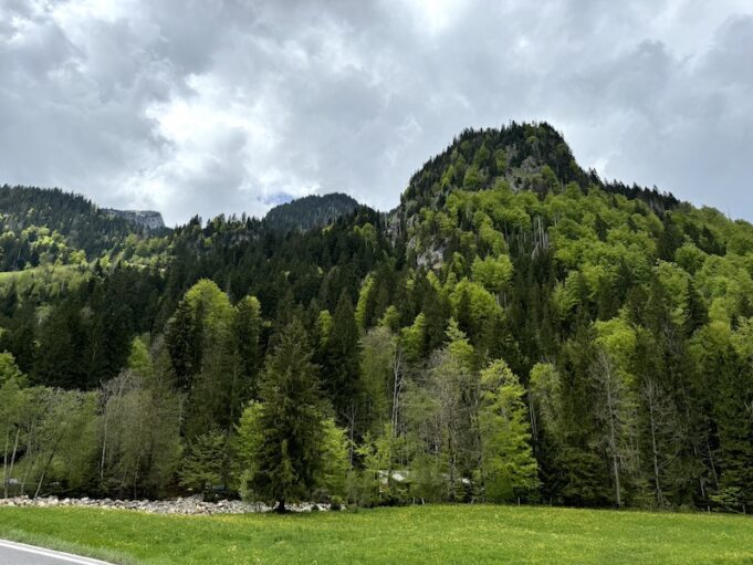 Biosphäre Entlebuch. Totale Hirseggwald.