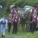 Nieserwocheenrückblickquerdurch Die Schweiz