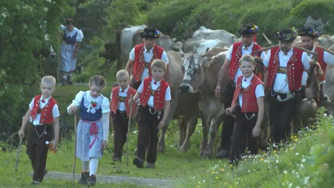 Nieserwocheenrückblickquerdurch Die Schweiz

