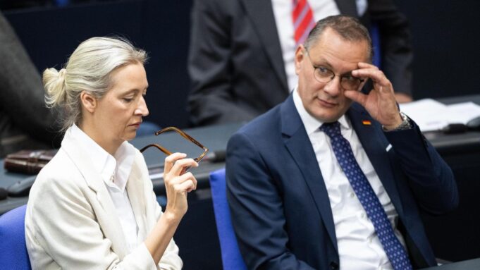 Afd Verliert - Union Kann Vorsprung Ausbauer

