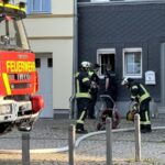 Alarm: Warum Eingeschirspüler in Eisenach Die feuerwehrbeschäftigteund ist das Mit -Einer Katze Zu Tun Hut Hut