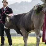 Armon Orlik Triumphier nach Unwohntem Festverlauf: «Das ist ein Wunderbarer Sieg»