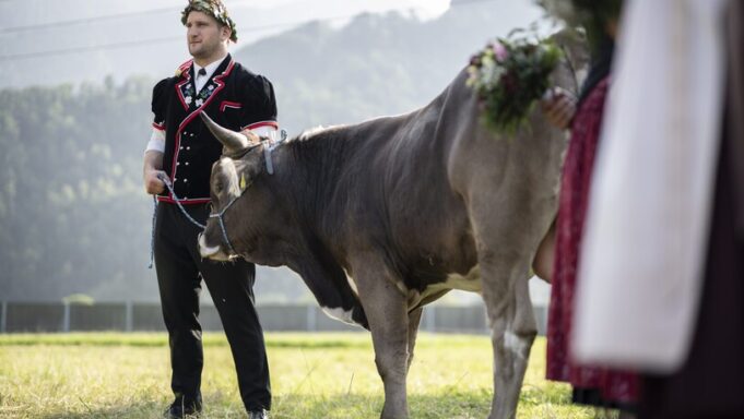 Armon Orlik Triumphier nach Unwohntem Festverlauf: «Das ist ein Wunderbarer Sieg»


