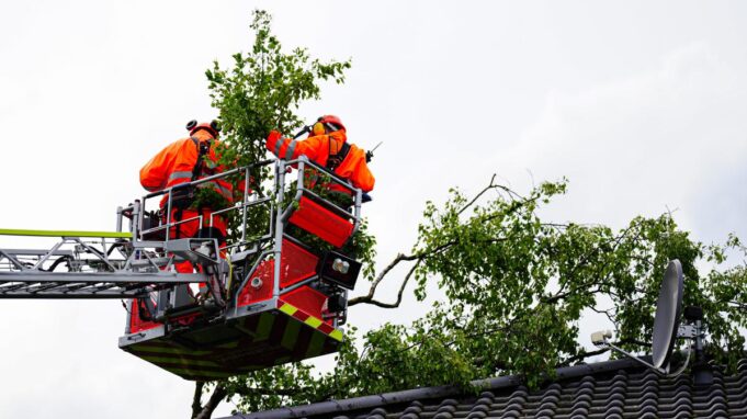 Baum Stürzt auf Wohnhaus - Besitzer Kritiserertstadt

