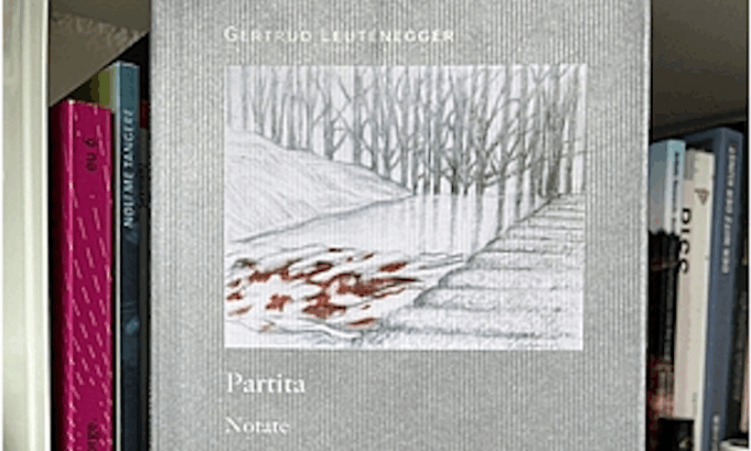 Buch Partita 2025-06-29 um 15.47.24
