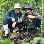 Erhaltung Uralte Bedrohter Pflanzenarten im Den Tropischenwälldern Ecuador