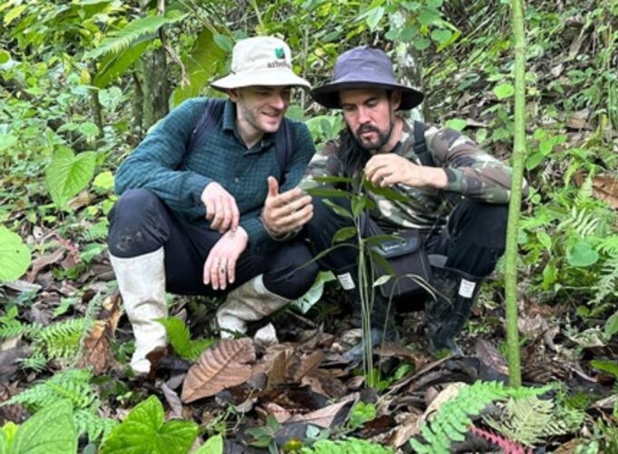 Erhaltung Uralte Bedrohter Pflanzenarten im Den Tropischenwälldern Ecuador

