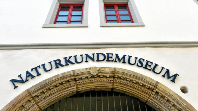 Forschererklärt in ErfurtrekordverdächTIGEPFLANZENWELT


