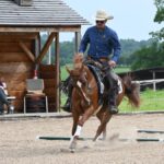 Grabaus Wildwest: Blinkende's Kleidung, Staubige stoppt