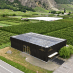 La Maison de la Petite Arvine: Le Collectif