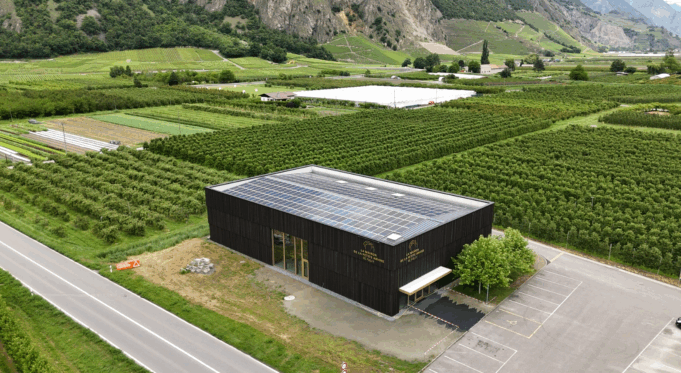 La Maison de la Petite Arvine: Le Collectif

