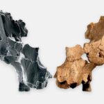 Neuer freuhmenschentdeckt? Rätselum entdeckung in Spanien
