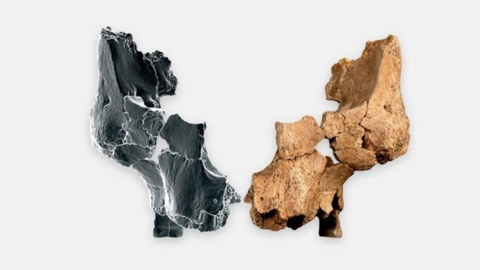Neuer freuhmenschentdeckt? Rätselum entdeckung in Spanien

