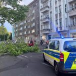 Sturm Legt S -Bahnen in Berlin und Brandenburg Lahm -Ochfernverkehrgestört