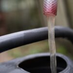 Trotz Hidze und Regenmangel: Grundwasserspeper von Hessen Sind Gutgullt | Hessenschau.de