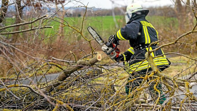 Unstrut-Hainich-Kreis: Feuerwehr Rücktwegen Under AUS

