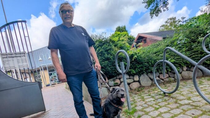 Zwei Hunde vor dem Tierheim Flensburg AusgesetzTt

