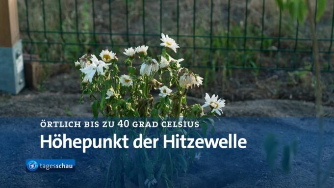 Tagesschau bei 100 Sekunden

