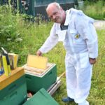 Bienenschnwarm im Garten - Experte AUS Rendsburg: Das ist zu ZU Tun