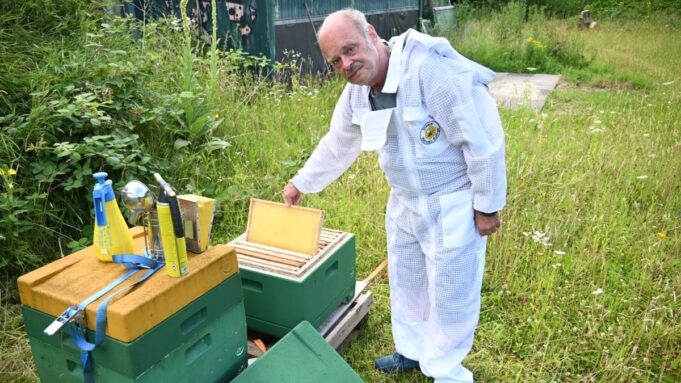 Bienenschnwarm im Garten - Experte AUS Rendsburg: Das ist zu ZU Tun


