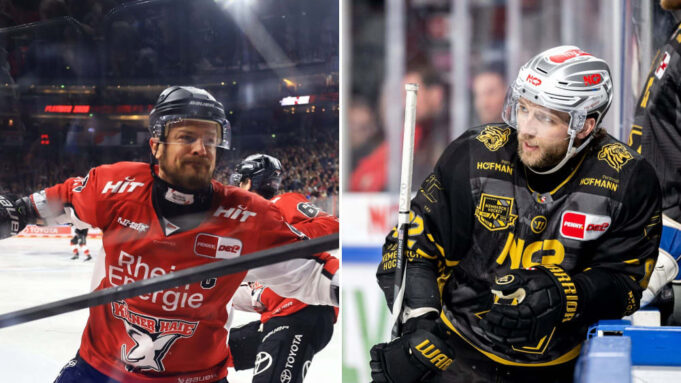 Del-Ticker: 23. Haie-Säe für Müller-Shaw Wird Ein Adler

