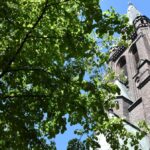 Elmshorns -Stadtlauf Wird Zumsiwnluffürmrettung