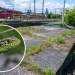 Gothaer Bahnhhofsneubau Geht in der Dienächste -Bühne