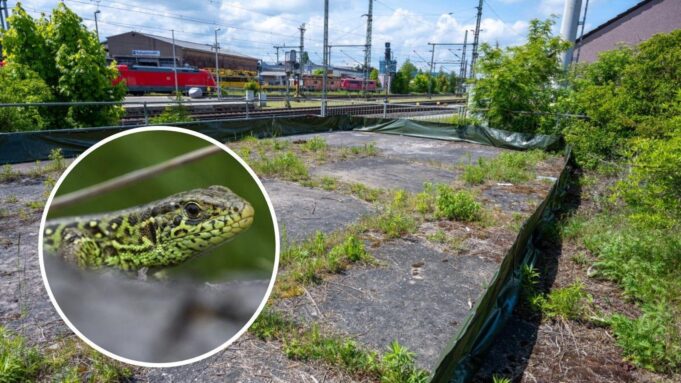Gothaer Bahnhhofsneubau Geht in der Dienächste -Bühne

