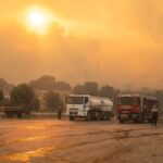 Hitt, Dulle, Europas Wald Brown: Tod Neuketten