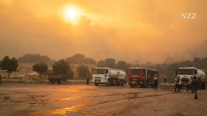 Hitt, Dulle, Europas Wald Brown: Tod Neuketten

