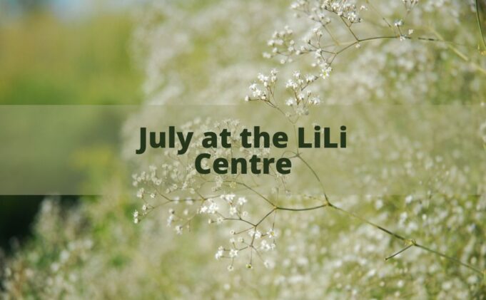Juli im Lily Center

